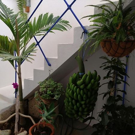 La Haciendita De La Casita Azul ปูแอร์โตเดลาครูซ ภายนอก รูปภาพ