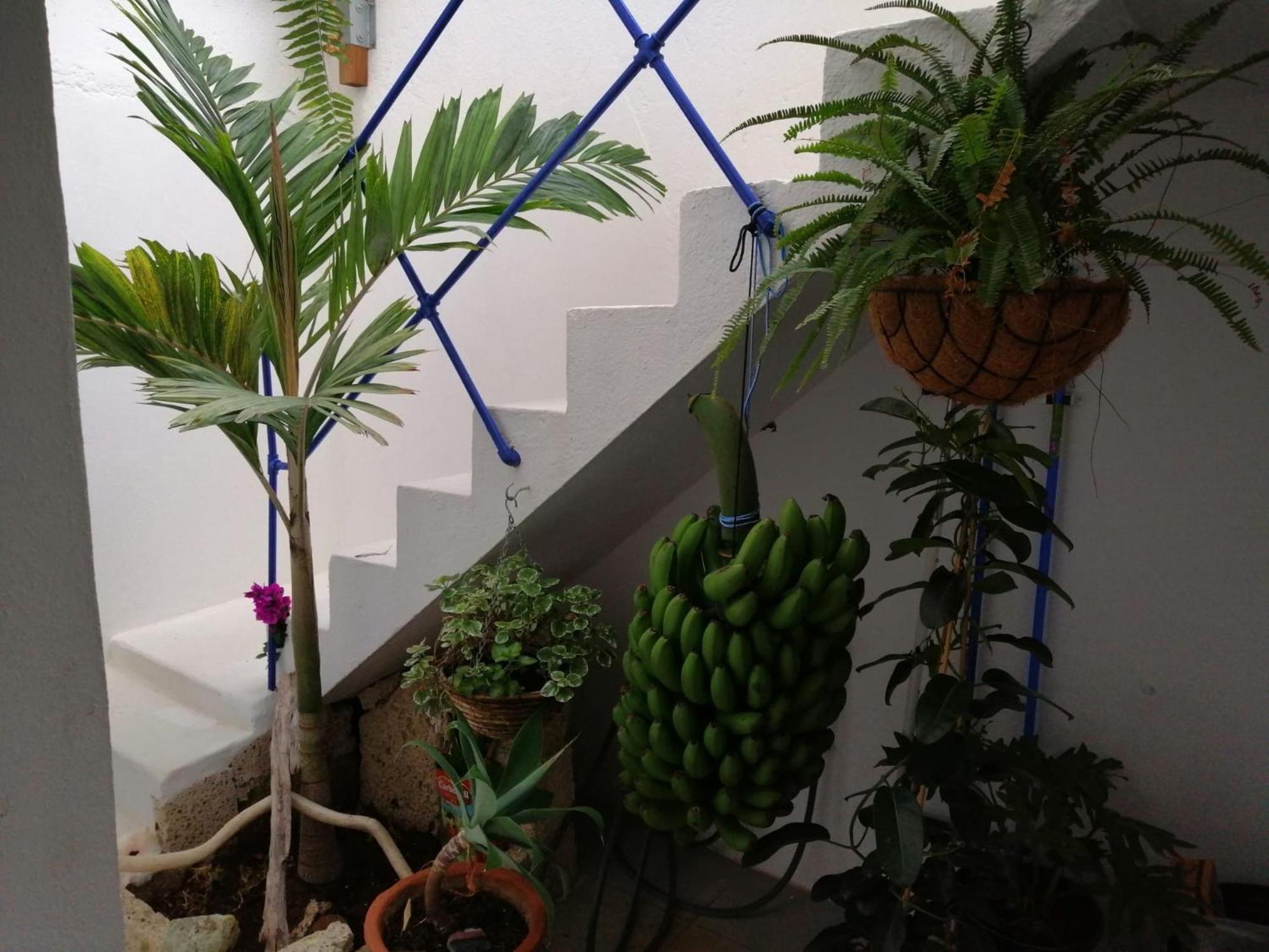 La Haciendita De La Casita Azul ปูแอร์โตเดลาครูซ ภายนอก รูปภาพ